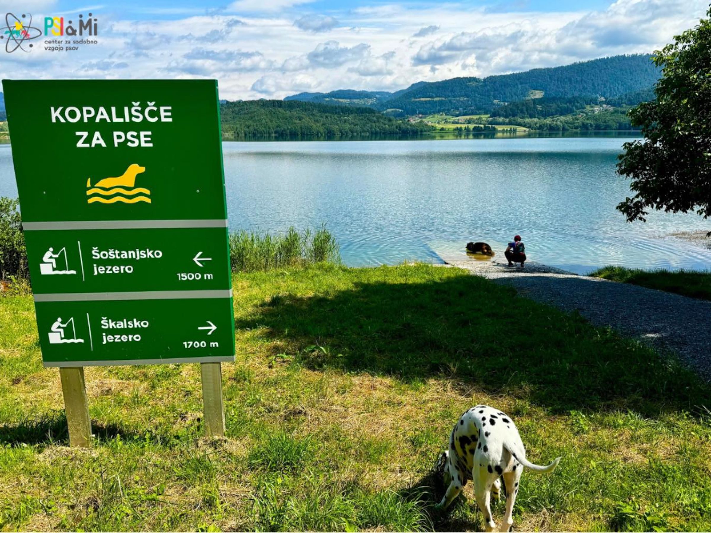 Dog Beach